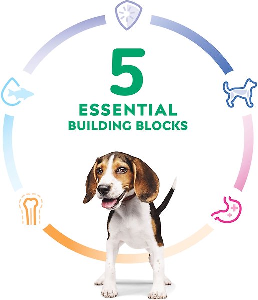 Show full view: Hill's Science Diet Puppy Chicken & Rice Stew Recipe Wet Dog Food, 12.5-oz can, case of 12 slide 5 of 10