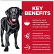 Show in main carousel: Hill's Science Diet Perfect Weight & Joint Support Chicken Flavoured Large Breed Adult Dry Dog Food, 11.3-kg bag slide 4 of 10