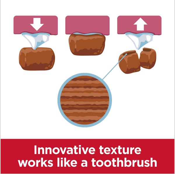 Show full view: Hill's Science Diet Oral Care Small & Mini Chicken Recipe Adult Dry Dog Food, 1.81-kg bag slide 3 of 10