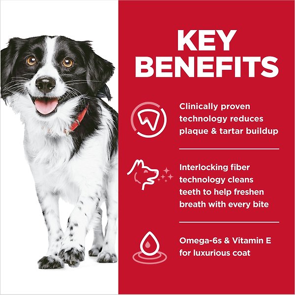 Show full view: Hill's Science Diet Oral Care Small & Mini Chicken Recipe Adult Dry Dog Food, 1.81-kg bag slide 4 of 10