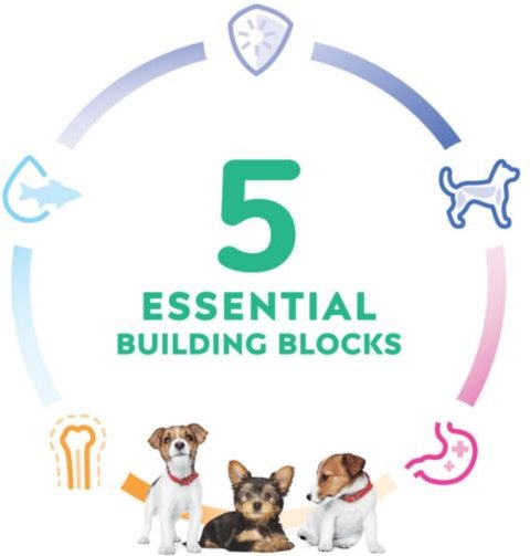 Show full view: Hill's Science Diet Puppy Small & Mini Chicken & Brown Rice Dry Dog Food, 5.67-kg bag slide 4 of 10