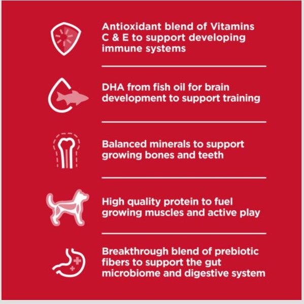 Show full view: Hill's Science Diet Puppy Small & Mini Chicken & Brown Rice Dry Dog Food, 5.67-kg bag slide 5 of 10