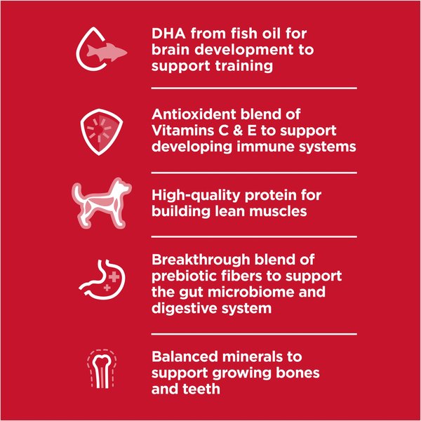Show full view: Hill's Science Diet Puppy Healthy Development Small Bites Dry Dog Food, 5.67-kg bag slide 3 of 12