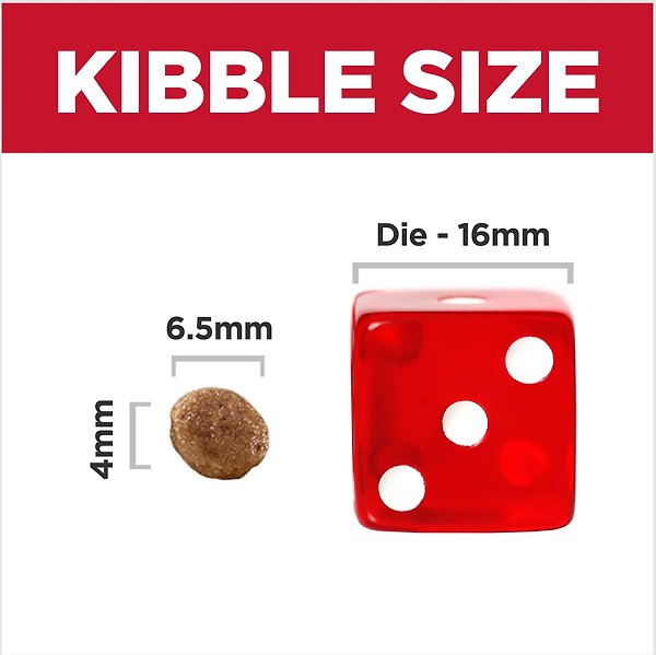 Show full view: Hill's Science Diet Puppy Healthy Development Small Bites Dry Dog Food, 5.67-kg bag slide 4 of 12