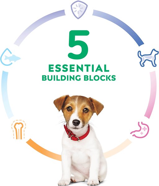 Show full view: Hill's Science Diet Puppy Healthy Development Small Bites Dry Dog Food, 5.67-kg bag slide 5 of 12