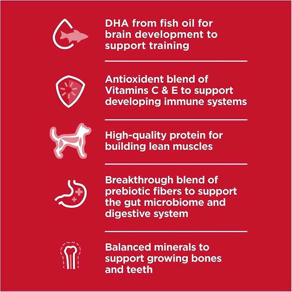 Show full view: Hill's Science Diet Puppy Chicken Meal & Brown Rice Recipe Dry Dog Food, 12.47-kg bag slide 3 of 12