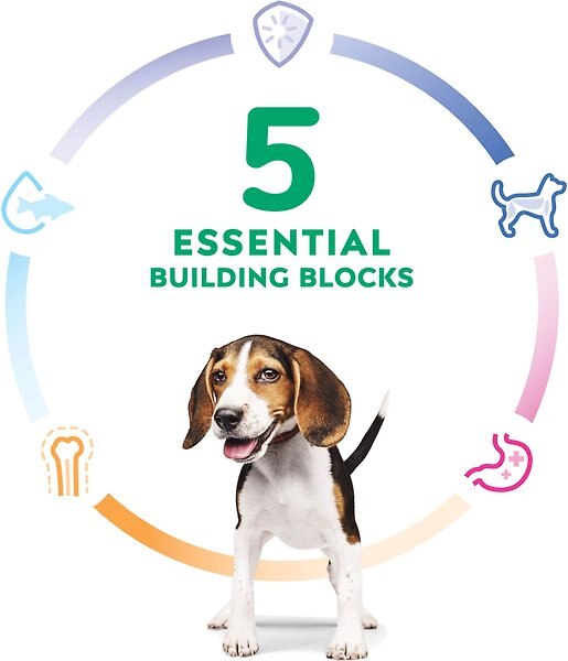 Show full view: Hill's Science Diet Puppy Chicken Meal & Brown Rice Recipe Dry Dog Food, 12.47-kg bag slide 5 of 12