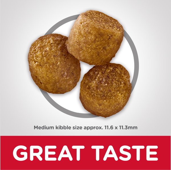 Show full view: Hill's Science Diet Adult Perfect Weight Chicken Recipe Dry Dog Food, 5.44-kg bag slide 5 of 12