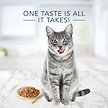 Show in main carousel: Blue Buffalo Tastefuls Adult Tuna, Chicken & Fish in Gravy Variety Pack Flaked Wet Cat Food, 155-g can, case of 12 slide 4 of 6