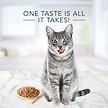 Show in main carousel: Blue Buffalo Tastefuls Natural Tuna, Chicken & Fish in Gravy Variety Pack Flaked Adult Wet Cat Food, 85-g can, case of 12 slide 4 of 8