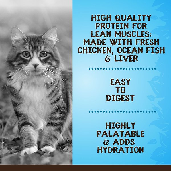 Show full view: Zoe Wild-Caught Fish Pate Wet Cat Food, 85-g can, case of 16 slide 3 of 7