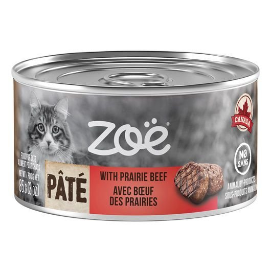 Zoe shop cat food