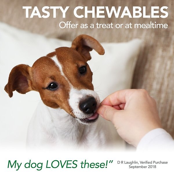 Show full view: Vet's Best Aches + Pains Vet Formulated for Dog Occasional Discomfort Hip & Joint Support Chew Supplement for Dogs, 50 count slide 6 of 10