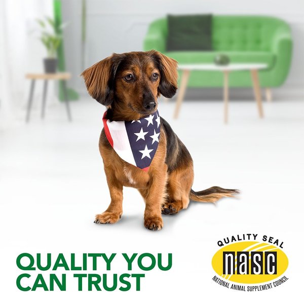 Show full view: Vet's Best Aches + Pains Vet Formulated for Dog Occasional Discomfort Hip & Joint Support Chew Supplement for Dogs, 50 count slide 8 of 10