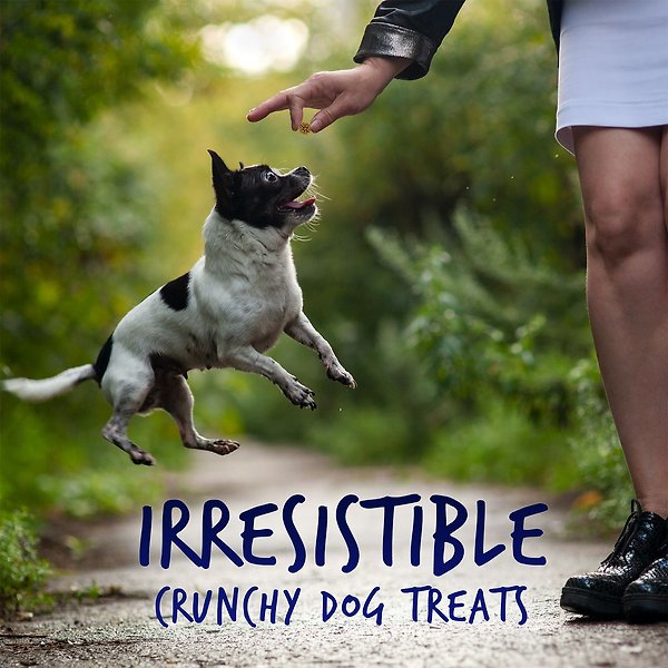 Show full view: Fruitables Skinny Minis Pumpkin & Berry Flavor Dog Treats, 5-oz bag slide 4 of 10