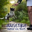 Show in main carousel: Fruitables Skinny Minis Pumpkin & Berry Flavor Dog Treats, 5-oz bag slide 4 of 10