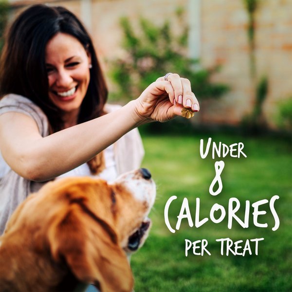 Show full view: Fruitables Pumpkin & Blueberry Flavor Dog Treats, 12-oz bag slide 7 of 9