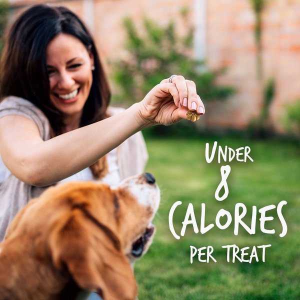 Show full view: Fruitables Pumpkin & Apple Flavor Dog Treats, 7-oz bag slide 7 of 10