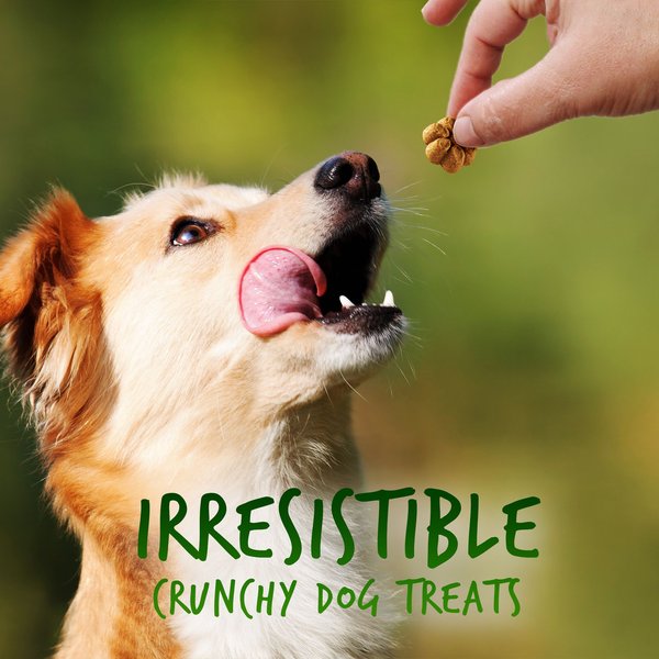 Show full view: Fruitables Pumpkin & Apple Flavor Dog Treats, 12-oz bag slide 3 of 8