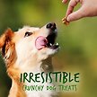 Show in main carousel: Fruitables Pumpkin & Apple Flavor Dog Treats, 12-oz bag slide 3 of 8