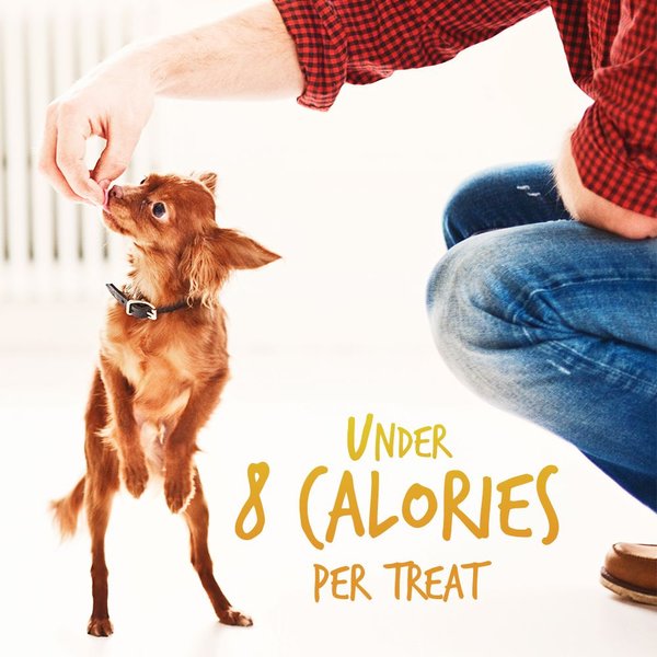 Show full view: Fruitables Pumpkin & Banana Flavor Dog Treats, 7-oz bag slide 7 of 11