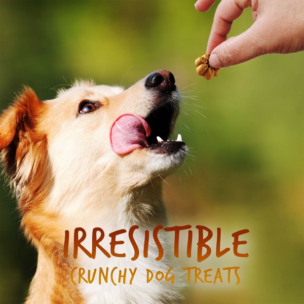 Show full view: Fruitables Pumpkin & Banana Flavor Dog Treats, 12-oz bag slide 3 of 9
