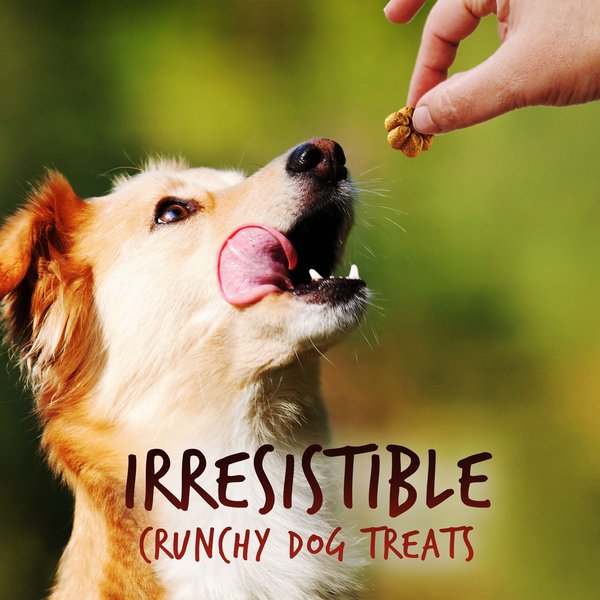 Show full view: Fruitables Crispy Bacon & Apple Flavor Dog Treats, 12-oz bag slide 3 of 9