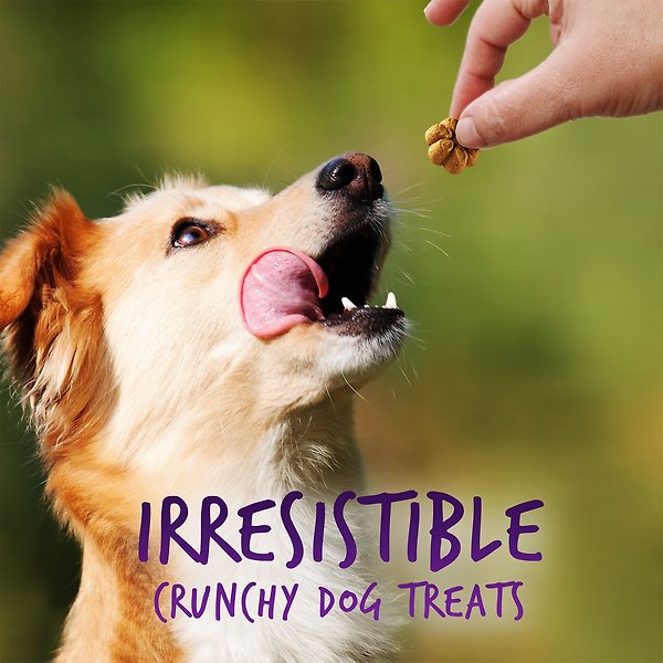 Show full view: Fruitables Crispy Bacon & Apple Flavor Dog Treats, 12-oz bag slide 7 of 9