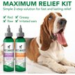 Show in main carousel: Vet's Best Ear Relief Wash + Dry Combo Pack for Dogs, 2-pack slide 7 of 12