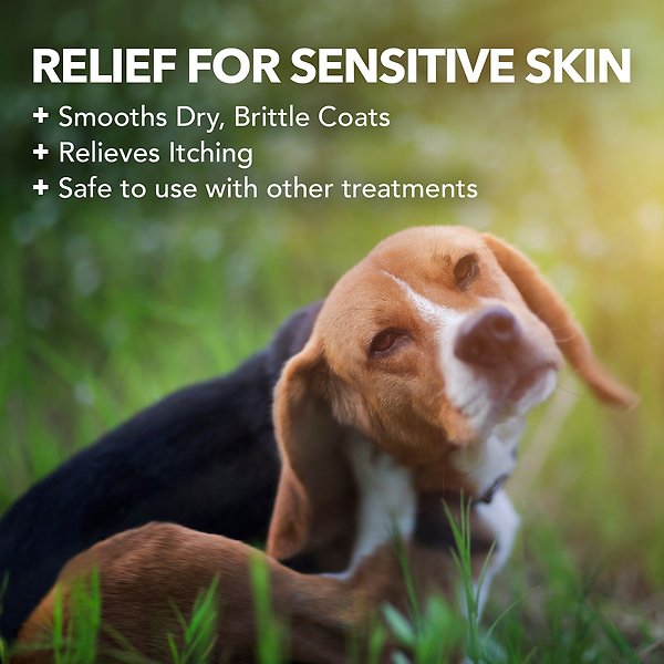 Show full view: Vet's Best Hypo-Allergenic Shampoo for Dogs, 16-oz bottle slide 3 of 8