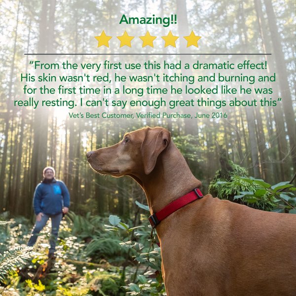 Show full view: Vet's Best Hypo-Allergenic Shampoo for Dogs, 16-oz bottle slide 4 of 8