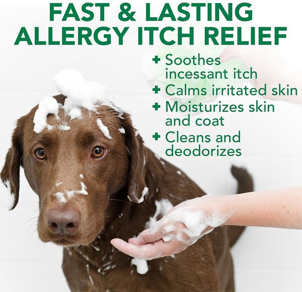 Show full view: Vet's Best Allergy Itch Relief Shampoo for Dogs, 16-oz bottle slide 3 of 9