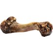 Show in main carousel: Roam Bucky Funny Bone Venison Humerus Dog Treat slide 3 of 3