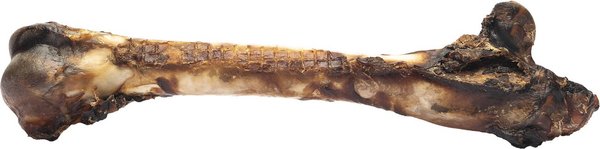 Show full view: Roam Roo Chopper Kangaroo Femur Bone Dog Treat, Medium/Large slide 3 of 4