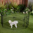 Show in main carousel: Frisco Dog & Small Pet Wire Exercise Pen with Step-Through Door, Black, 24-in slide 1 of 10