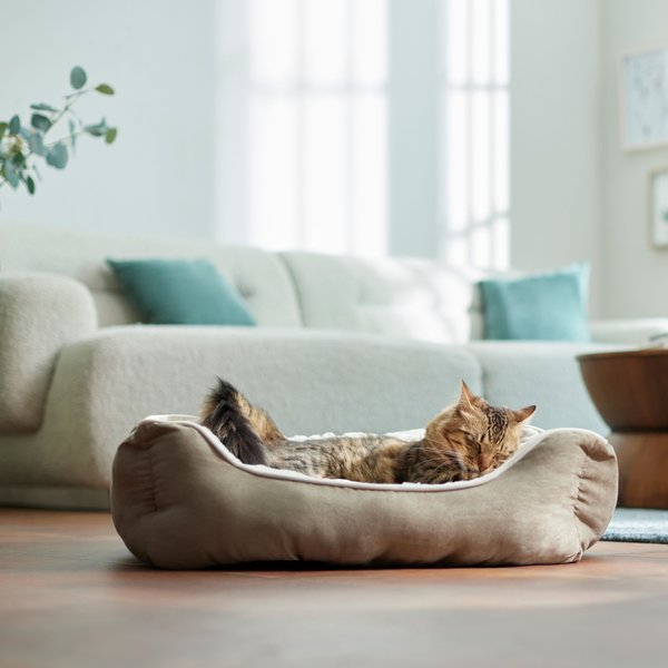 Show full view: Frisco Rectangular Bolster Cat & Dog Bed, Khaki Green, Medium slide 3 of 9