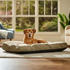 Frisco Pillow Dog Bed w/ Removeable Cover, Khaki Green, Large