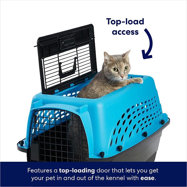 Show full view: Frisco Two Door Top Load Plastic Dog & Cat Kennel, Blue, 24-in slide 4 of 9