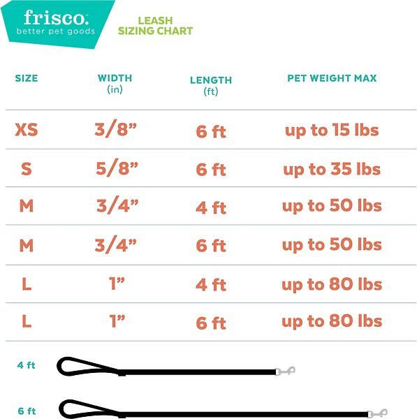 Show full view: Frisco Solid Nylon Dog Leash, Black, Large: 4-ft long, 1-in wide slide 5 of 7