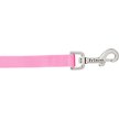 Show in main carousel: Frisco Solid Nylon Dog Leash, Pink, Medium: 6-ft long, 3/4-in wide slide 3 of 7
