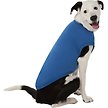 Show in main carousel: Frisco Basic Dog & Cat T-Shirt, Royal Blue, X-Large slide 3 of 9