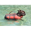 Show in main carousel: Frisco Ripstop Dog Life Jacket, Orange, Small slide 9 of 12