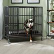 Show in main carousel: Frisco Ultimate Heavy Duty Steel Metal Single Door Dog Crate, Large slide 1 of 9