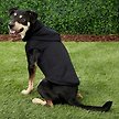 Show in main carousel: Frisco Dog & Cat Basic Hoodie, Black, Large slide 7 of 10
