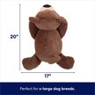Show in main carousel: Frisco Bear Plush Squeaky Dog Toy, X-Large slide 2 of 7