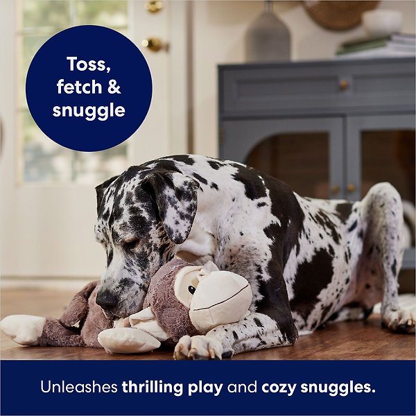 Show full view: Frisco Monkey Plush Squeaky Dog Toy, X-Large slide 5 of 7
