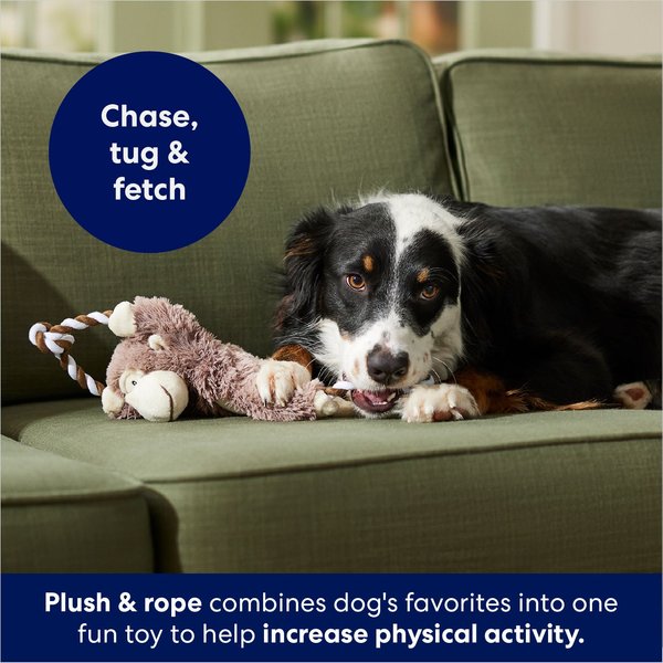 Show full view: Frisco Monkey Plush with Rope Squeaky Dog Toy, Medium/Large slide 4 of 6