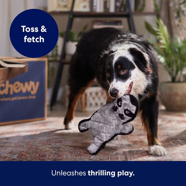 Show full view: Frisco Raccoon Stuffing-Free Flat Plush Squeaky Dog Toy, Large slide 5 of 7