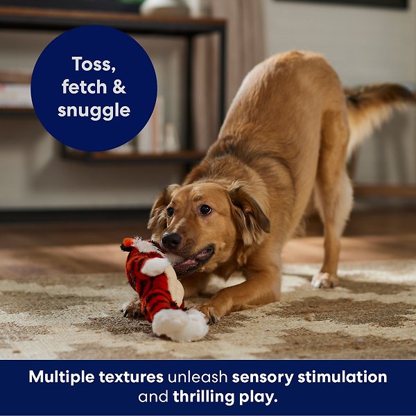 Show full view: Frisco Tiger Muscle Plush Squeaky Dog Toy, Medium/Large slide 5 of 7