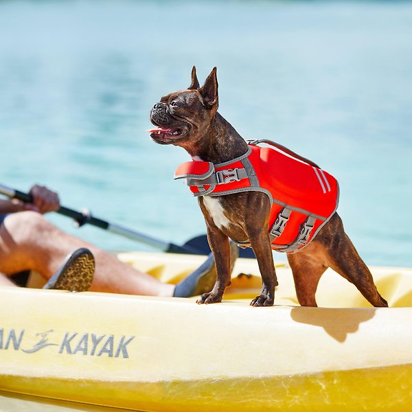 Show full view: Frisco Neoprene Dog Life Jacket, Red, Small slide 8 of 12